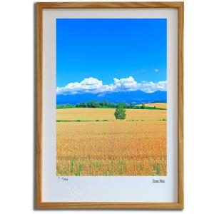 絵画 インテリア　絵　額付き (白）油絵　uF6-063003　日本の田園風景 絵画 インテリア 絵 額付き (白）油絵 uF6-063003 日本の田園風景 絵画