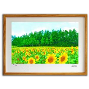 樹皮絵画☆北海道☆F6 全国伝統工芸展入選作品☆アート インテリア 額縁 絵画 版画 絵画 北海道のひまわり畑001 美瑛 堀田東 壁掛け 壁飾り