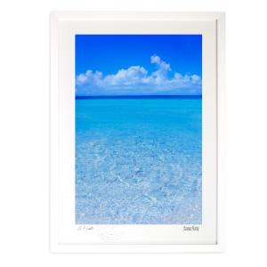 アートフォト 絵画 壁掛け 透明な海を泳ぐ魚（モルディブ） 海