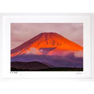 絵画額 富士山 額絵 赤富士飛翔 伊藤渓山 額飾り 42cm×34cm 額入り