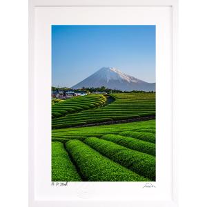 絵画　油絵　額装　風景画　山　サイン入り　アート　インテリア　アンティーク　壁掛け　金縁額　田舎　素朴　自然　空間演出 絵画 油絵 木曽 駒ヶ岳 （岡島哲夫） 【海・山】【肉筆】【油絵