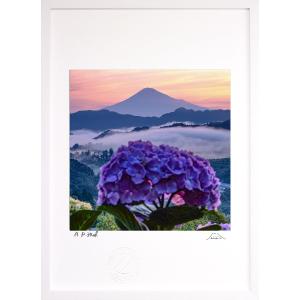 版画 絵画 富士山 梅の額縁 インテリア 壁掛け 額入り 風景画 油絵