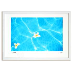 アートフォト 絵画 壁掛け 波間に浮かぶ白花（ハワイ）
