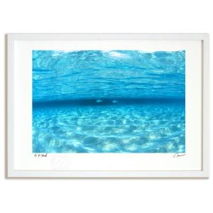 アートフォト 絵画 壁掛け 透明な海を泳ぐ魚（モルディブ）