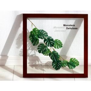リーフパネル 絵画 モンステラ デリシオサ3 絵画
