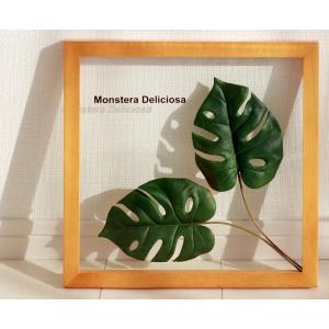 リーフパネル 絵画 モンステラ デリシオサ2 ナチュラルフレーム 絵画 壁掛け 壁飾り インテリア 油絵 花 アートパネル ポスター 絵 額入り リビング 玄関｜日本唯一の風景専門店 あゆわら