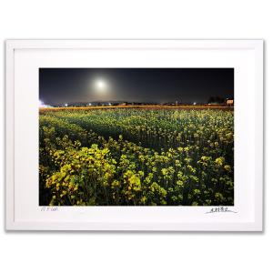 手描き油絵 木村 咲 黄色い小花 F6 画家本人手描き 絵画 額入り 絵