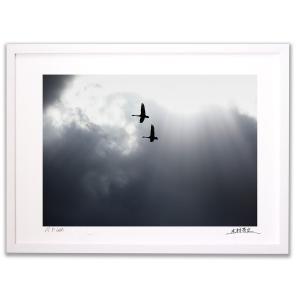 日本画 和風フレーム 赤い鳥と山水 5Lサイズ 絵画 壁掛け 壁飾り