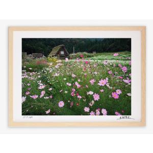 阿蘇 風景画 絵画 草千里 コスモス 花 蝶 水彩画 ジークレー 版画 内藤