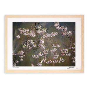 絵画 ルノワール名画額サム 「花瓶の花」 壁掛け 壁飾り インテリア