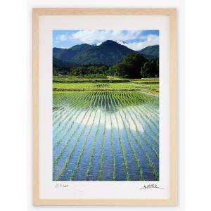 アートフォト 絵画 壁掛け 世界遺産白川郷・田植えの前 岐阜県 アートフォト 絵画 壁掛け 世界遺産白川郷・田植えの前 岐阜県