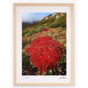 花 絵画 静物画 アネモネ インテリア リトグラフ 版画 ベルナール