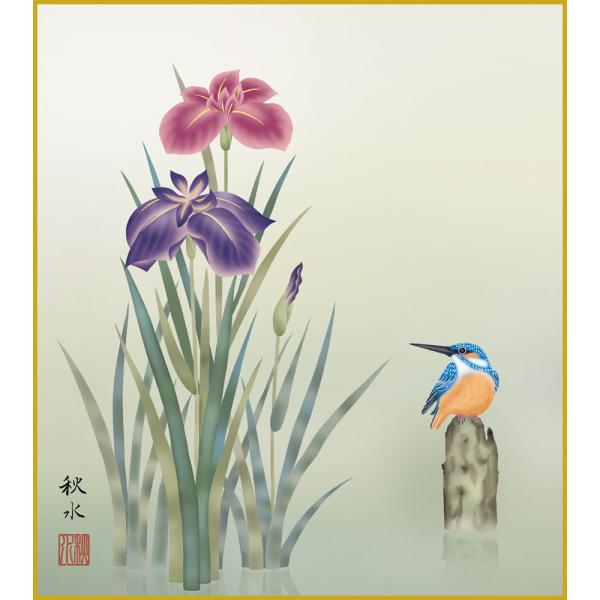 色紙  色紙掛けなし 色紙絵  和風 菖蒲 浮田秋水 モダン 掛軸 床の間 和室 おしゃれ 壁掛け ...