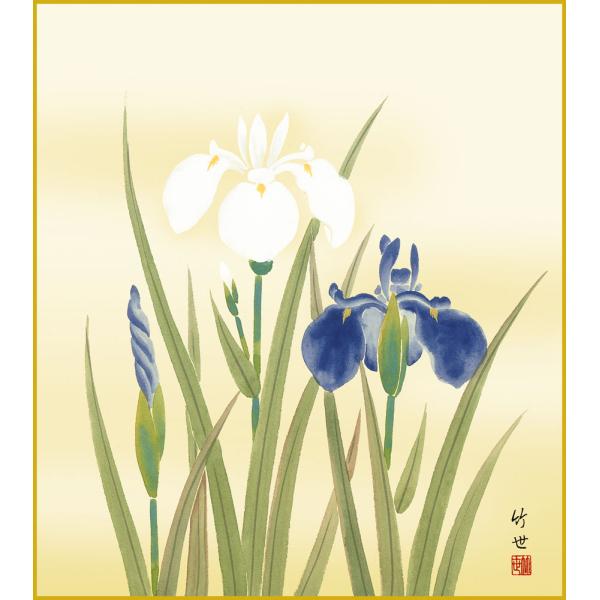 色紙  色紙掛けなし 色紙絵  和風 菖蒲  モダン 掛軸 床の間 和室 おしゃれ 壁掛け 絵