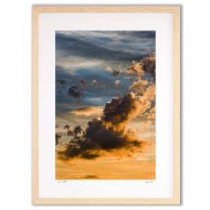 手描き油絵 木村 咲 黄色い小花 F6 画家本人手描き 絵画 額入り 絵