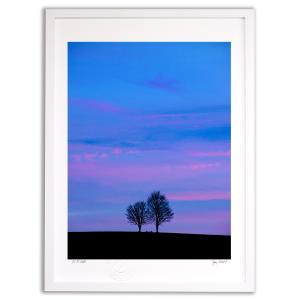 アートフォト 絵画 壁掛け ピンクの夢(Pink...の商品画像