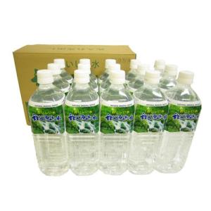 水素水 水素 珪素 天然水 富士山 水 VanaH 500ml×24本入り : 水素珪素