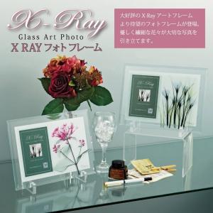 フォトフレームX RAY フォトフレーム「リー...の詳細画像2
