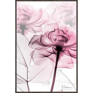 レントゲンアート X RAY キャンバスアート「ピンクローズ（Sサイズ）」