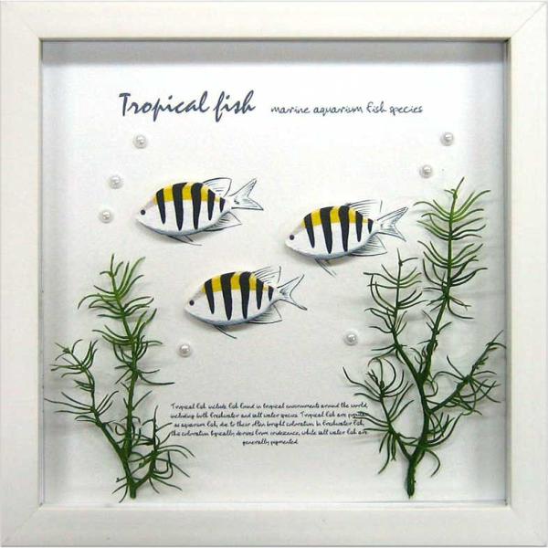 アクアフレーム ゆうパケット Aqua Frame Sergeant Major(サージャント メジ...