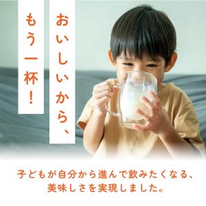 プロテイン ソイ 大豆 ココア 人工甘味料不使...の詳細画像4