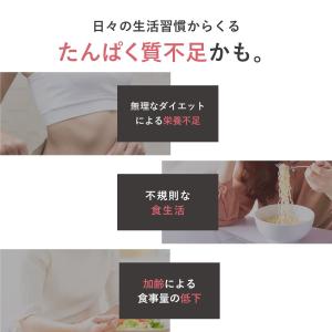 プロテイン ソイ 大豆 プレーン 人工甘味料不...の詳細画像3