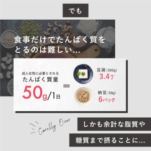 プロテイン ソイ 大豆 プレーン 人工甘味料不...の詳細画像5