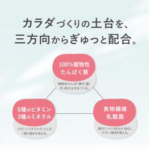 プロテイン ソイ 大豆 1kg たんぱく質含有...の詳細画像5