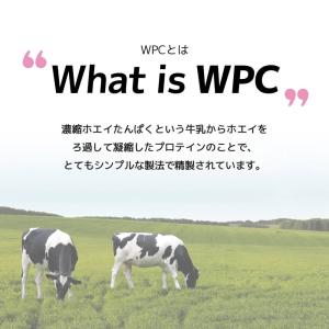 プロテイン ホエイ 女性 WPC ダイエット ...の詳細画像2