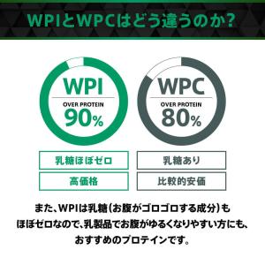 プロテイン ホエイプロテイン WPI 1kg ...の詳細画像3