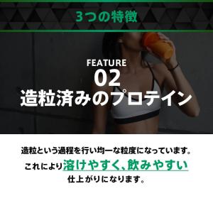 プロテイン ホエイプロテイン WPI 1kg ...の詳細画像5
