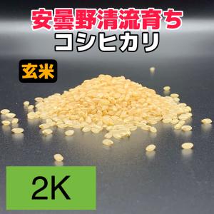 夢つくし [ 玄米 ] [ 1.9kg (950g×2袋) ] 令和7年産 福岡県産 農家直送