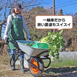 24V電動アシスト一輪車 LX CH602A-...の詳細画像1