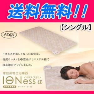 イオネスα 家庭用電位治療器 イオネスアルファ シングル ...
