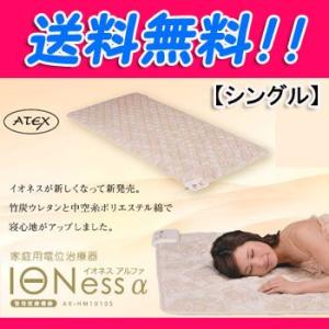 即納  イオネスα　家庭用電位治療器　イオネスアルファ　シングル  AX-HM1010S  　正規品　保証付き　