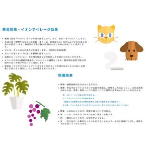 滝風イオンメディック メーカーより直送 代引き...の詳細画像3