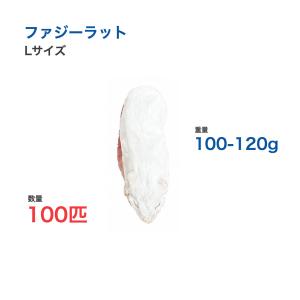 国産 冷凍 ラット ファジーラット L 100-120g 100匹 個別包装 爬虫類 猛禽類 餌