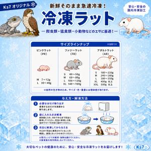 国産 冷凍 ラット ファジーラット M 60-...の詳細画像3