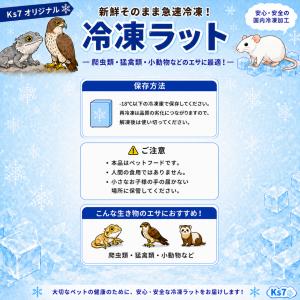 国産 冷凍 ラット ファジーラット M 60-...の詳細画像4
