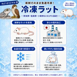 国産 冷凍 ラット ファジーラット S 40-...の詳細画像2