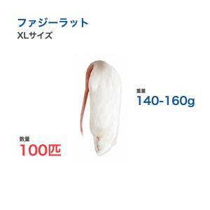国産 冷凍 ラット ファジーラット XL 140-160g 100匹 個別包装 爬虫類 猛禽類 餌