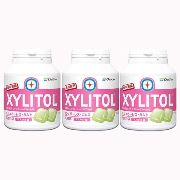 歯科医院専用 オーラルケア 歯科用キシリトールガム マスカット味 153g（約90粒） 3個セット