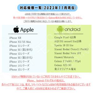 インド esim プリペイドsim 海外sim...の詳細画像5