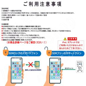 中国 香港 マカオ esim 無制限 simカ...の詳細画像4
