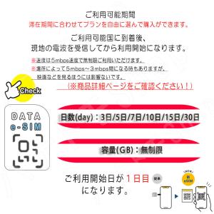 シンガポール マレーシア esim 無制限 s...の詳細画像1