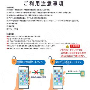 トルコ SIM プリペイドSIM 1GB 2G...の詳細画像5