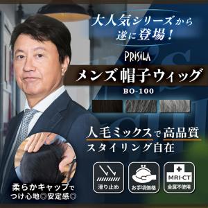 メンズウィッグ 男性用かつら かぶるタイプ 中...の詳細画像1