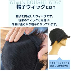 メンズウィッグ 男性用かつら かぶるタイプ 中...の詳細画像3