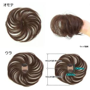 部分 ウィッグ 頭頂部 女性 白髪隠し つむじ...の詳細画像3