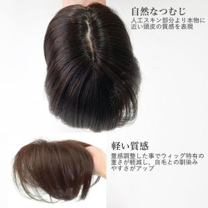 部分 白髪隠し ウィッグ 分け目タイプ 頭頂部...の詳細画像3